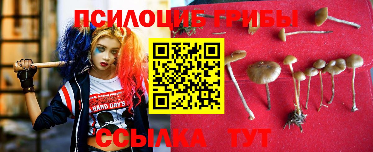 Карасук  Псилоцибиновые грибы мицелий  Вход с VPN  Псилоцибиновые грибы мицелий 